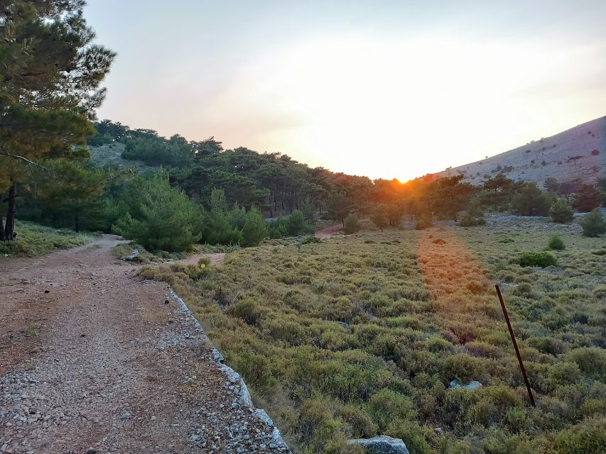 Chios: Private Sunset Hiking Tour to Lithi Beach - Important Information