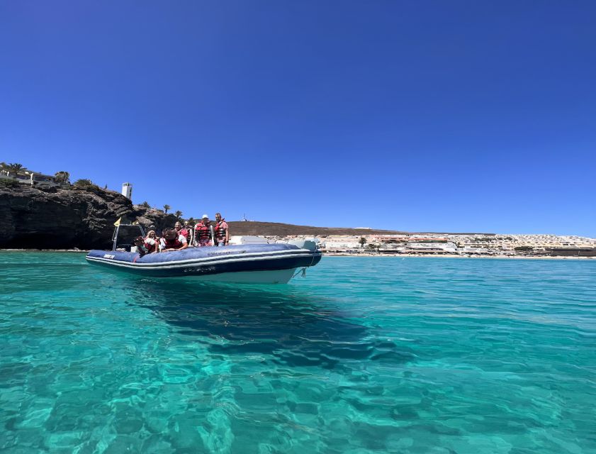 Costa Calma: Fuerteventura Dolphin Watching Zodiac Boat Tour - Additional Information