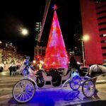 6 denver holiday lights history walking tour Denver: Holiday Lights & History Walking Tour