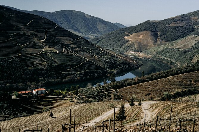 Douro Classic Sightseeing Full-Day Private Tour - Common questions