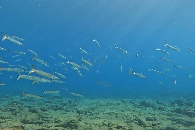 Experience Scuba Diving in Heraklion Crete - Additional Details