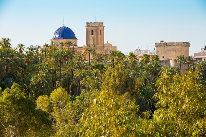 Experience the World Heritage City of Elche Private Tour - Tour Experience