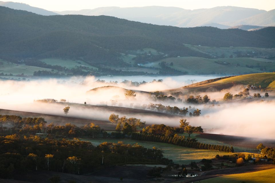 Experience Yarra Valley: a Tailored Private Wine Journey - Booking and Cancellation Policy