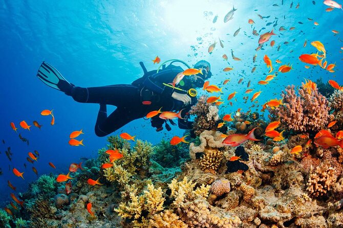 Fethiye Scuba Diving Experience By A Local Expert - Additional Information About Scuba Diving Tour