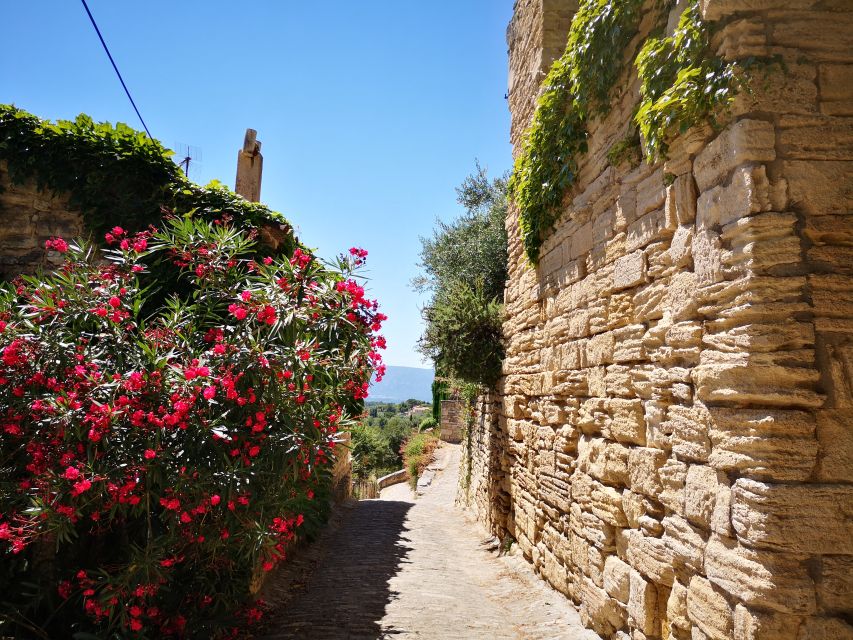 From Aix En Provence: Luberon Villages Full-Day Guided Tour - Customer Reviews
