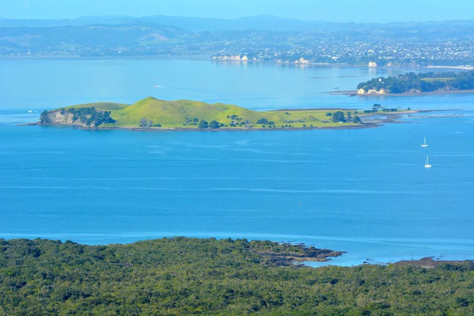 From Auckland: Browns Island Motukorea Sea Kayak Tour - Meeting Point