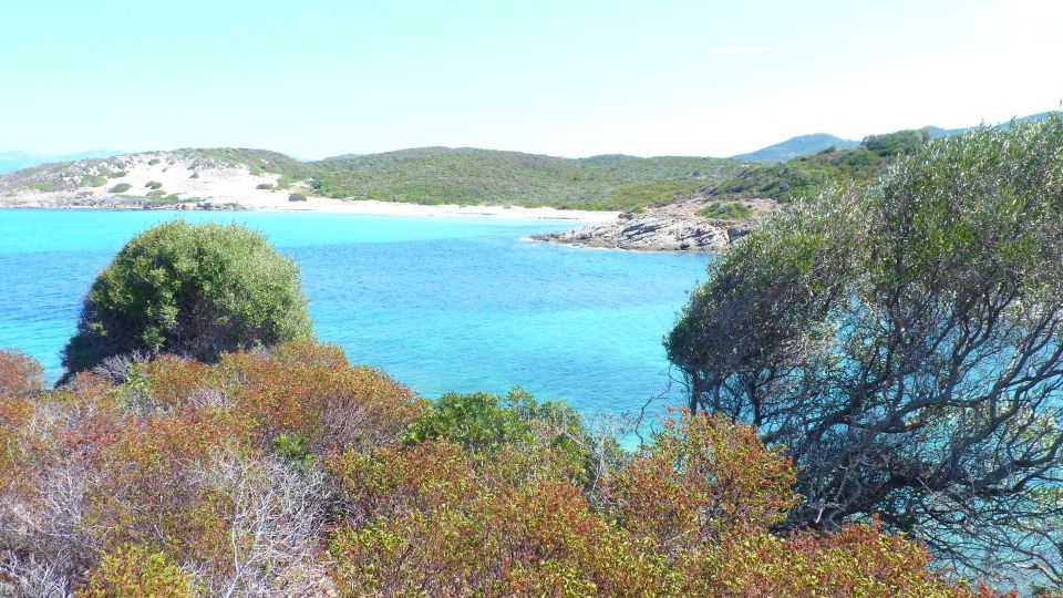 From Bastia: Off-Road Agriates Desert and Beach Excursion - Ghignu Beach Stop