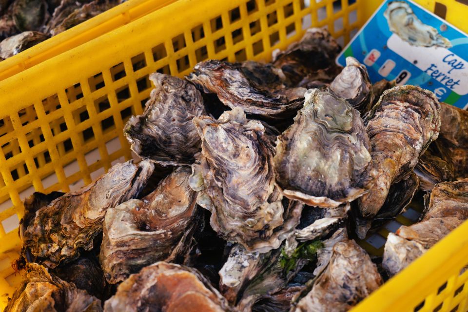 From Bordeaux: Arcachon Bay Full Day Tour and Oyster Lunch - Oyster Lunch Details