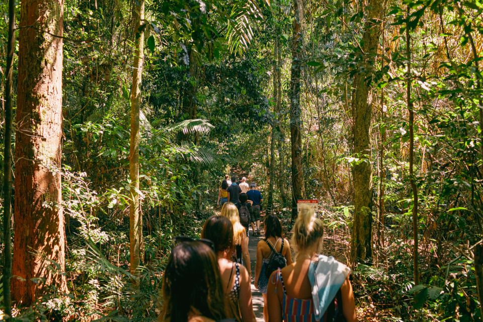 From Cairns: Atherton Tableland Wilderness Tour With Lunch - Directions