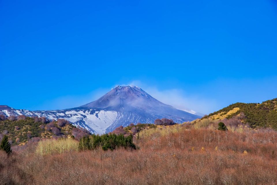 From Catania/Taormina: Mount Etna Private Wine Tasting Tour - Common questions