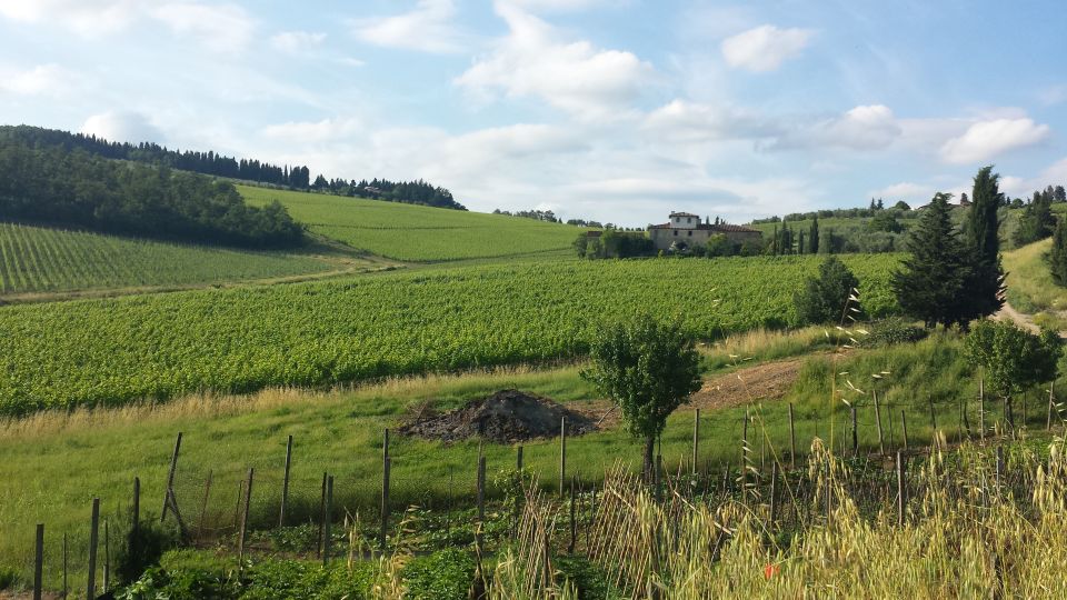 From Florence: Chianti Wine Tour at 2 Estates W/Lunch&Snacks - Tour Duration