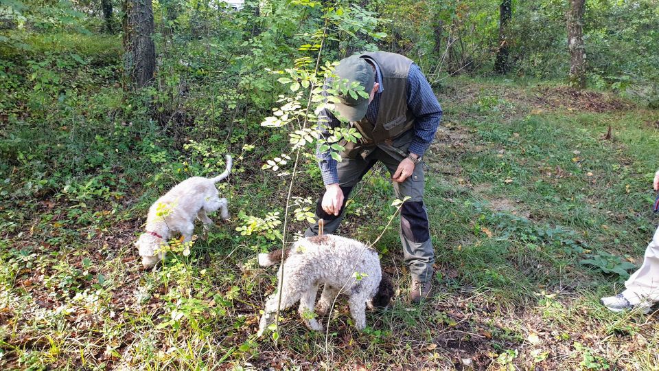 From Florence: Truffle Hunt and Lunch in the Countryside - Reservation Information