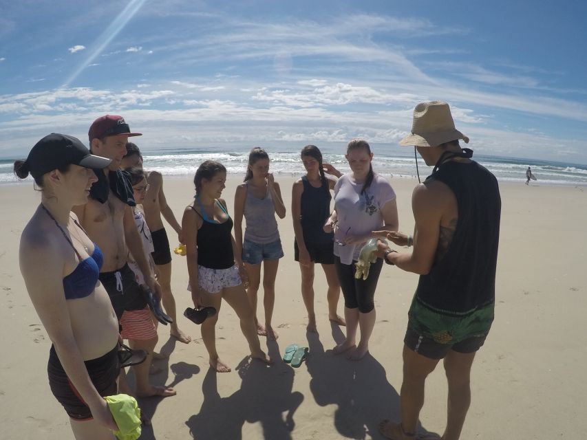 From Gold Coast: Kayaking & Snorkelling Tour With Breakfast - Experience Description