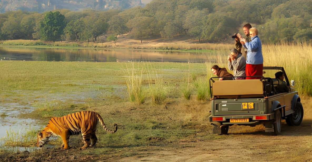 From Jaipur : 2 Days Ranthambore Tiger Safari Tour By Car - Customer Feedback and Itinerary Highlights