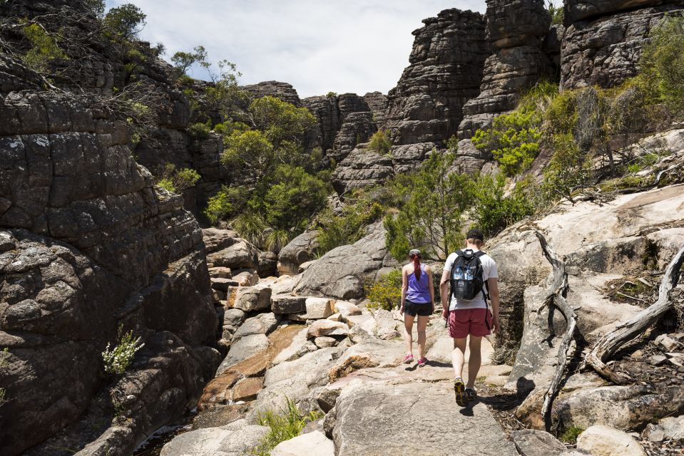 From Melbourne: Grampians National Park & Kangaroos - Customer Reviews Overview