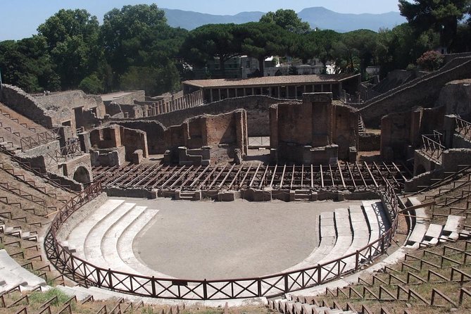 From Naples: Pompei and Sorrento City Sightseeing - Customer Support