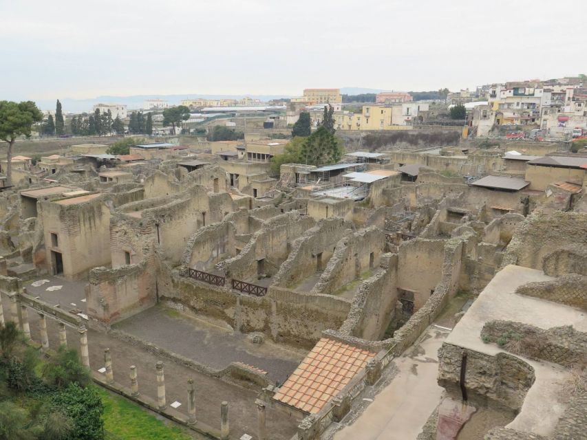 From Naples: Pompeii, Herculaneum, and Vesuvius Private Tour - Booking Information