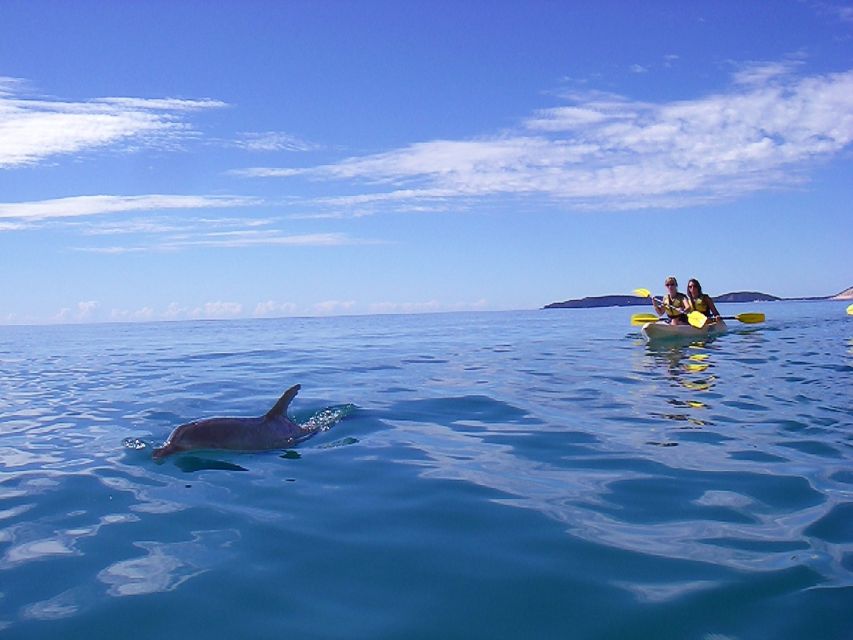 From Noosa: Dolphin Sea Kayaking and Beach 4X4 Tour - Meeting Point Details