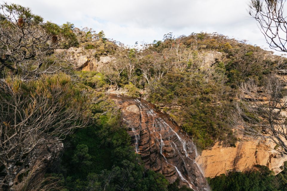 From Sydney: Blue Mountains Nature and Wildlife Tour - Directions
