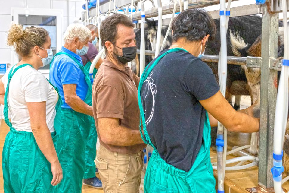 Fuerteventura: Artisan Goat's Cheese Making at Local Farm - Location and Accessibility