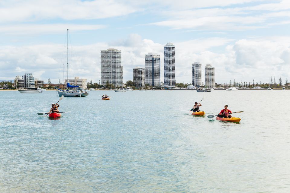 Gold Coast: Wave Break Island Kayaking & Snorkeling Tour - Customer Testimonials