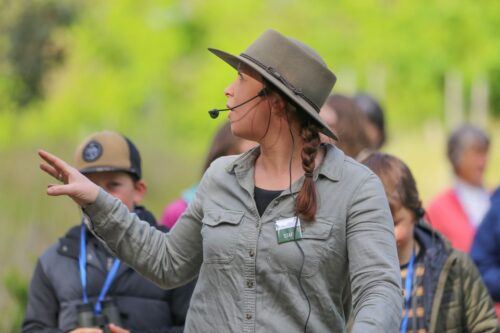 Great Ocean Road: Guided Wildlife Walk That Supports Nature - What to Bring and Not Allowed