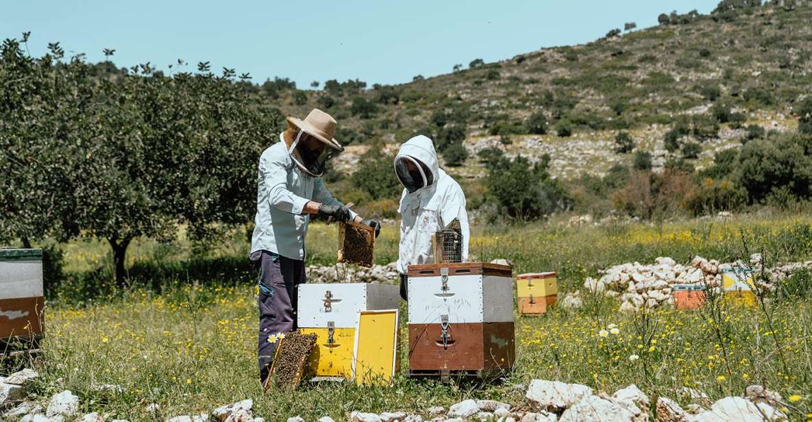 Heraklion: True Crete Melidoni Cave, Secrets of Honey, Olive - Last Words