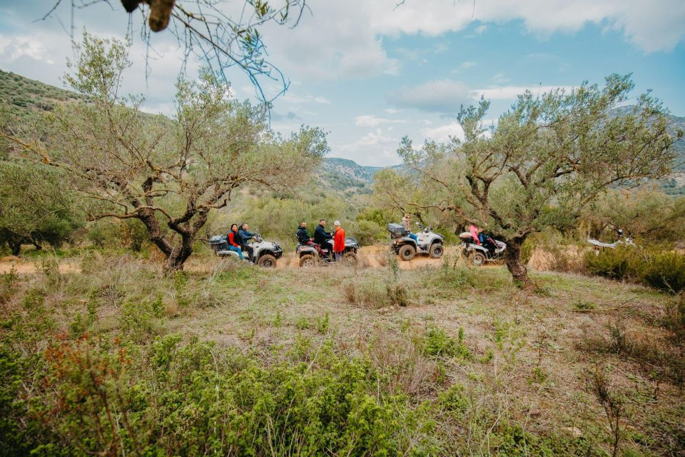 Hersonissos: ATV Quad Bike Safari in the Mountains of Crete - Safety Guidelines