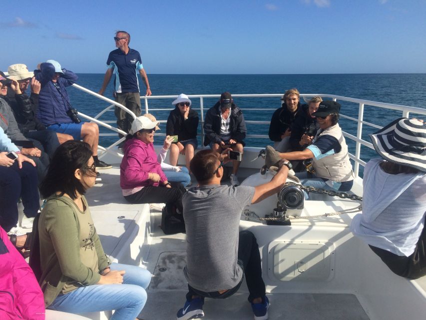 Hervey Bay: Half-Day Whale Watching Experience - Directions