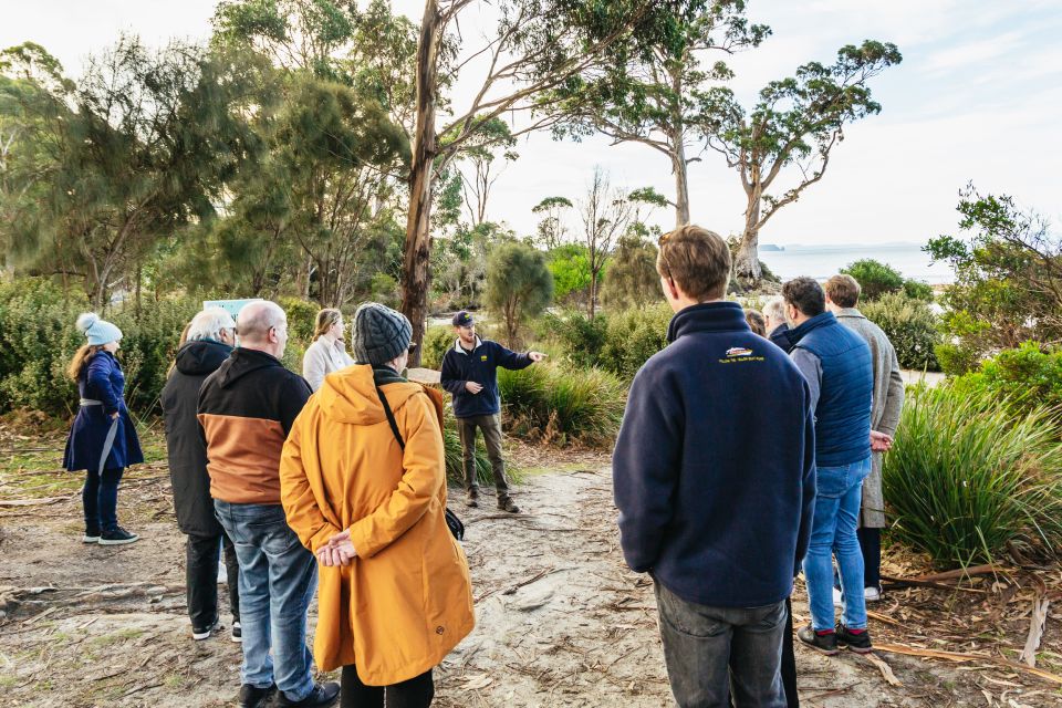 Hobart: Bruny Island Gourmet Sightseeing Day Tour - Highlights