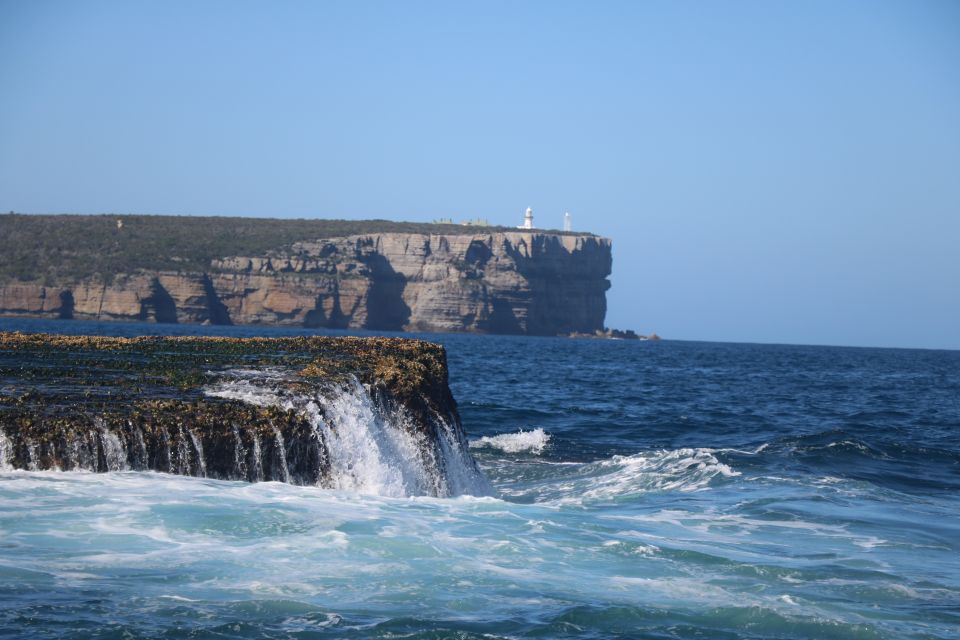 Jervis Bay: 2-Hour Cruise of Jervis Bay Passage - Directions and Meeting Point