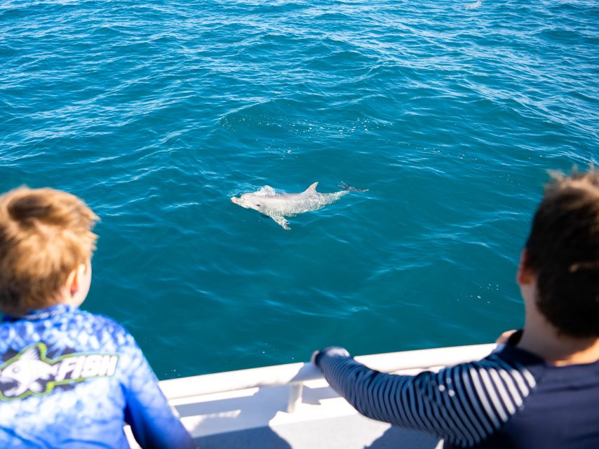 Kangaroo Island: Dolphin, Seal, and Swimming Boat Tour - Water Conditions and Equipment