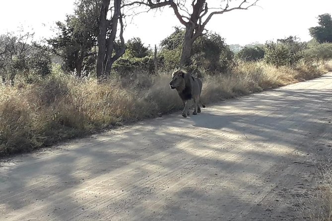 Kruger National Park Magical Day Safari From Johannesburg - Common questions