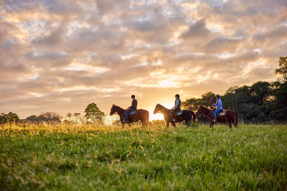 Kuranda Half Day With Petting Zoo & Horse Trail Ride Tour - Participant Information