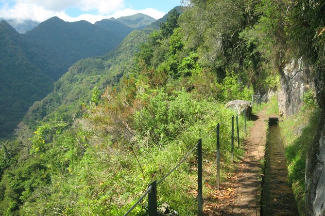 6 levada do rei ribeiro bonito full day walk Levada Do Rei - Ribeiro Bonito (Full Day Walk)