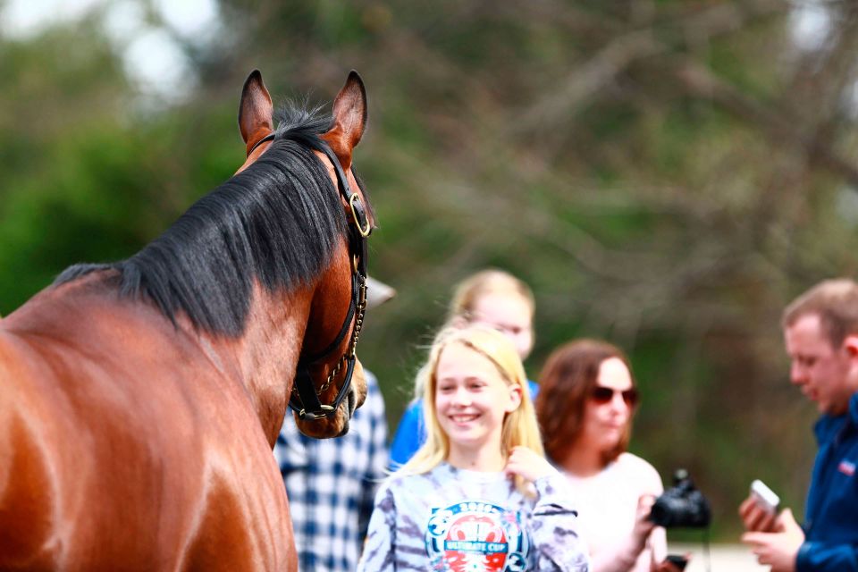 Lexington: Horse Farm Tour and Keeneland Race Track Visit - Common questions