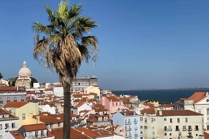 Lisbon City Private Tour - Service Provider Information