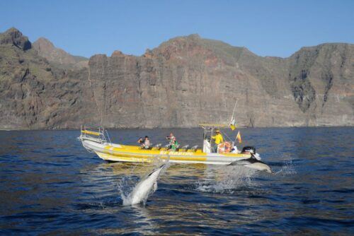 Los Gigantes: Dolphin and Whale-Watching Speedboat Tour - Customer Reviews