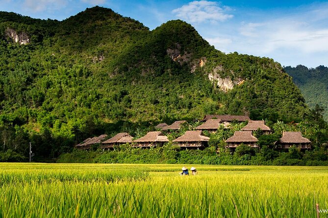 Luxury Mai Chau Full Day Tour Small Group -Departure From Hanoi - Group Size and Guides