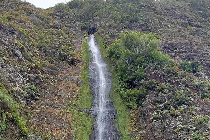 Madeira Skywalk & NorthWest Highlights Full-Day 4x4 Shared Jeep - Common questions