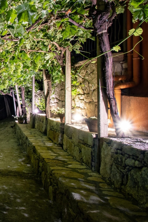 Malia: The Roads Of Wine Olive Oil And Cretan Tradition - Customer Review and Rating