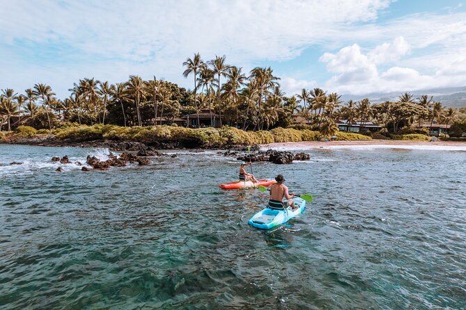 Maui'S ONLY Electric Powered Kayak & SUP Hybrid Rentals. - Common questions