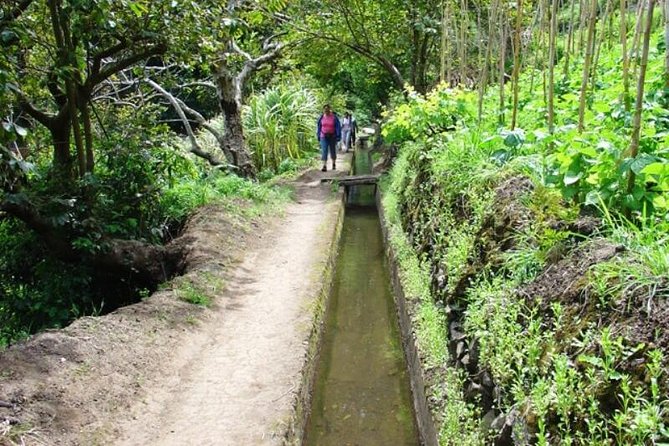 Mimosa Valley and Marocos Levada Guided Walk  - Madeira - Common questions