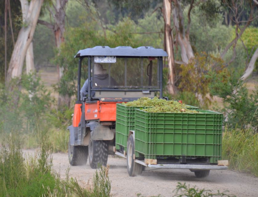 Mornington Peninsula Winery Bus Tour With Lunch & Wine - Reserve Now & Pay Later