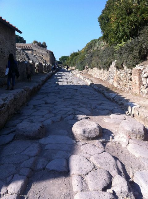 Naples: Pompeii & Herculaneum Tour W/ Lunch & Wine Tasting - Booking Details