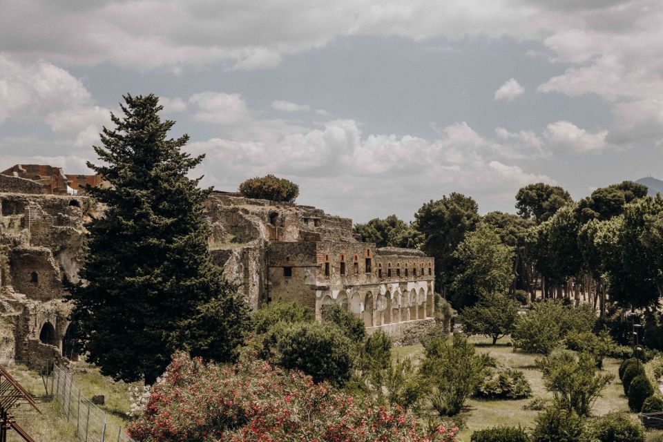 Naples: Pompeii & Herculaneum Tour With Lunch & Wine Tasting - Price and Duration