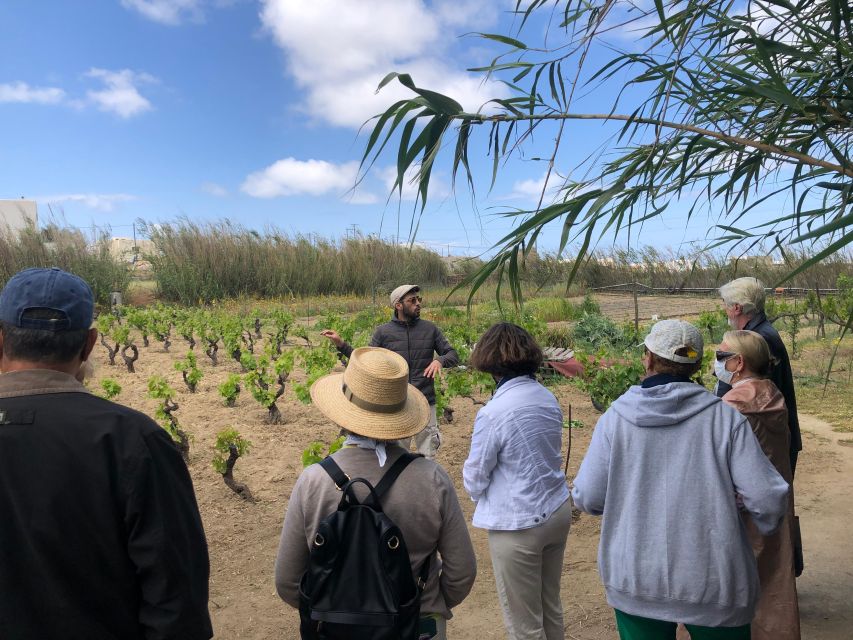 Naxos: Wine & Culture Tour - Common questions