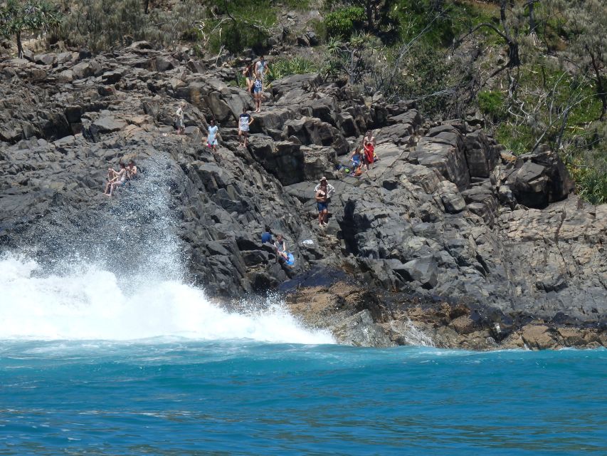 Noosa Heads: Ocean Adventure & Dolphin Safari - Last Words