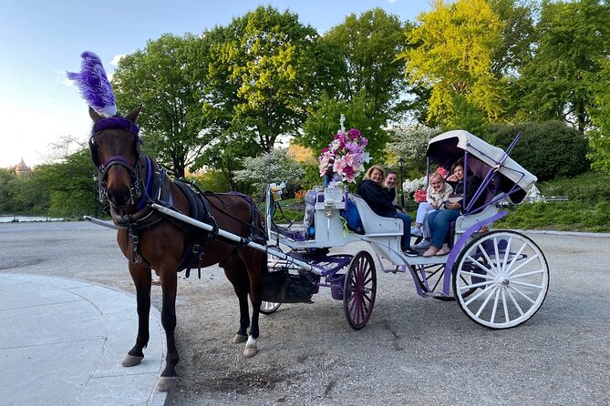 NYC Central Park Horse Carriage Rides - Accessibility and Accommodations