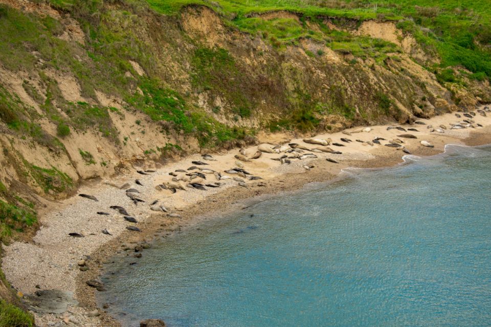 Point Reyes National Seashore Self Guided Driving Tour - Common questions